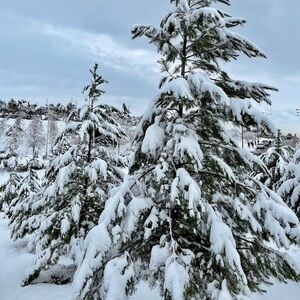 Snow Day deals! #1-100